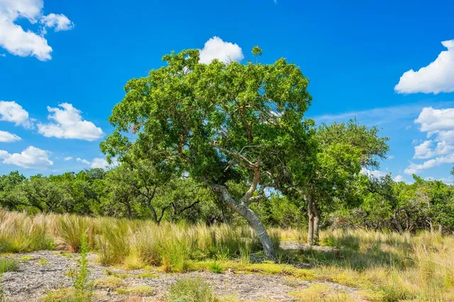 a view of a lake with a big yard