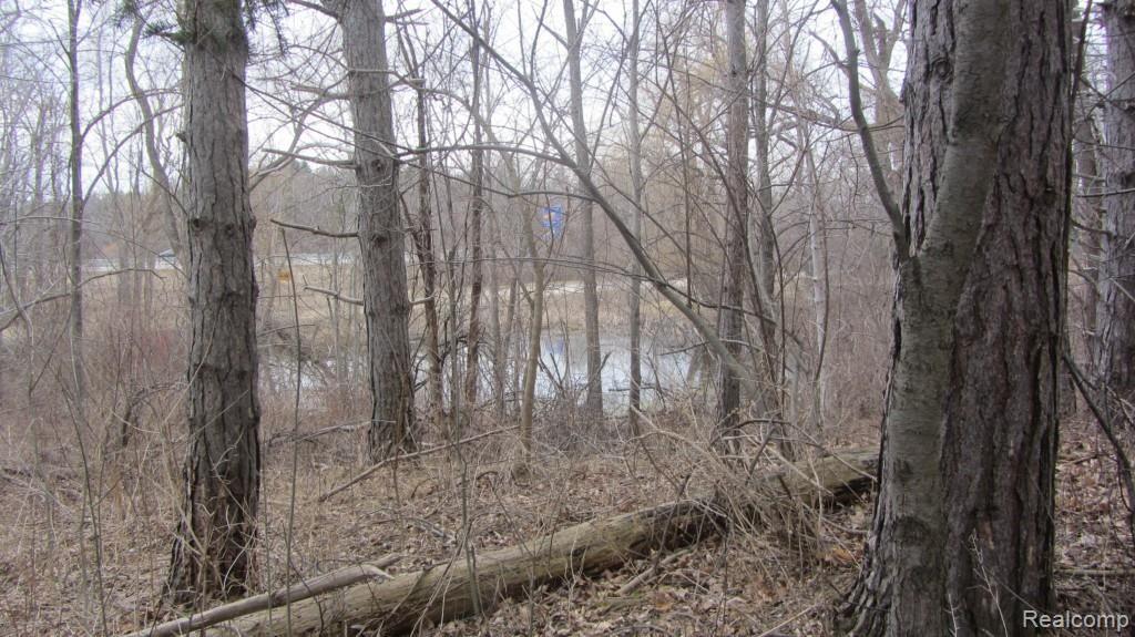 7395 Buckell Lake Road Holly, MI 48442 - Photo 30 of 32 IMG_1190.jpg