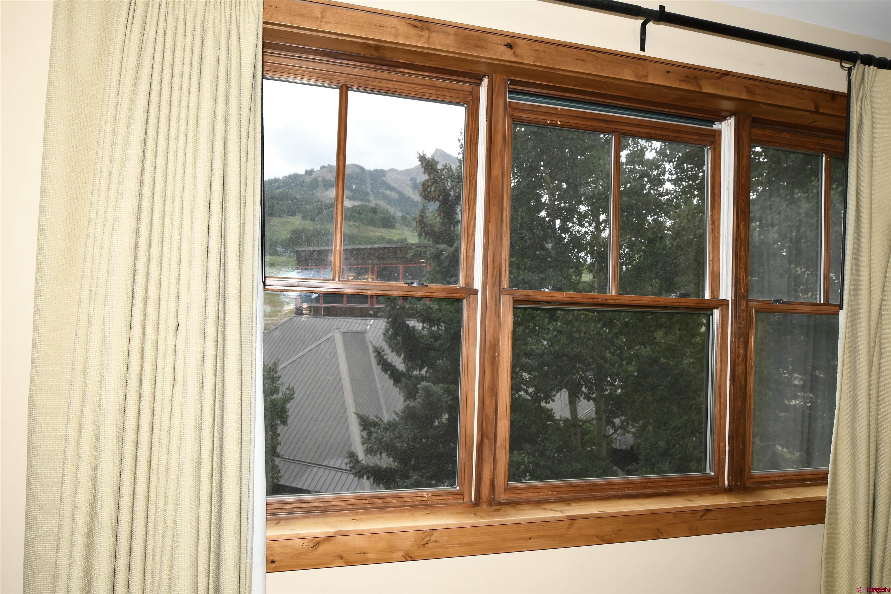 620 Gothic Road, Unit 317 Crested Butte, CO 81225 - Photo 20 of 43 a view of a window