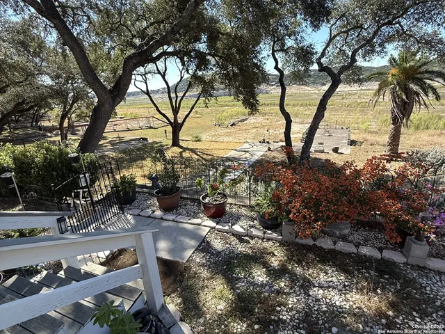 a view of a yard with plants and trees