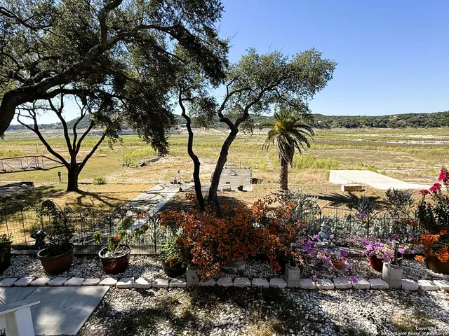 a view of a lake with a tree