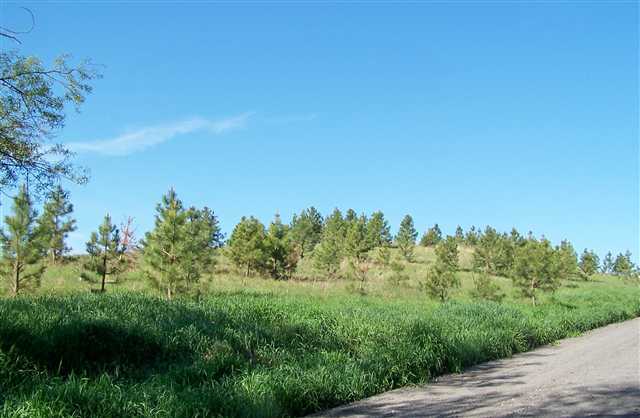 0 South Jackson Road Rockford, WA 99030 - Photo 4 of 6