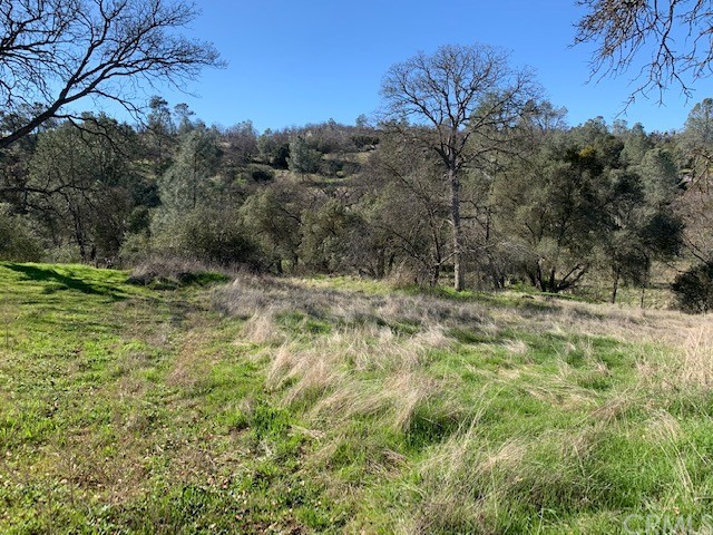 0 Ranger Cir Drive Coarsegold, CA 93614 - Photo 1 of 1