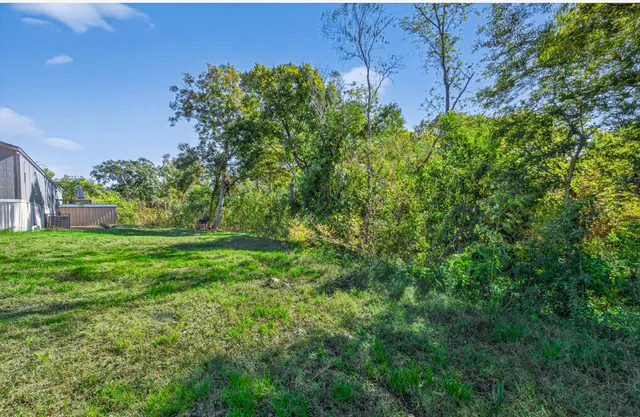 a view of a yard with plants and a bench