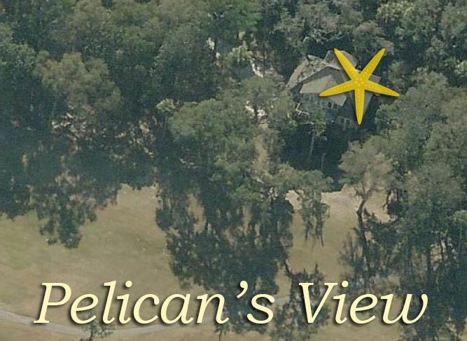 525 Oristo Ridge Edisto Island, SC 29438 - Photo 4 of 42 4 pelicans view