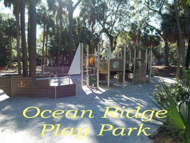 525 Oristo Ridge Edisto Island, SC 29438 - Photo 36 of 42 36 new play park
