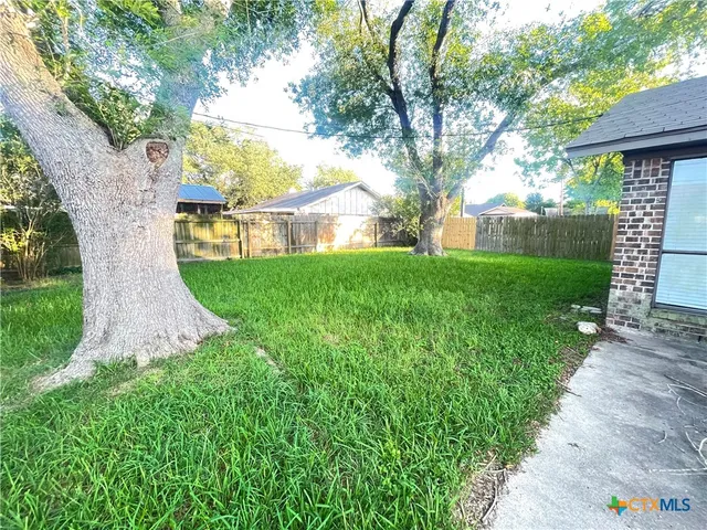 a view of a garden with a tree