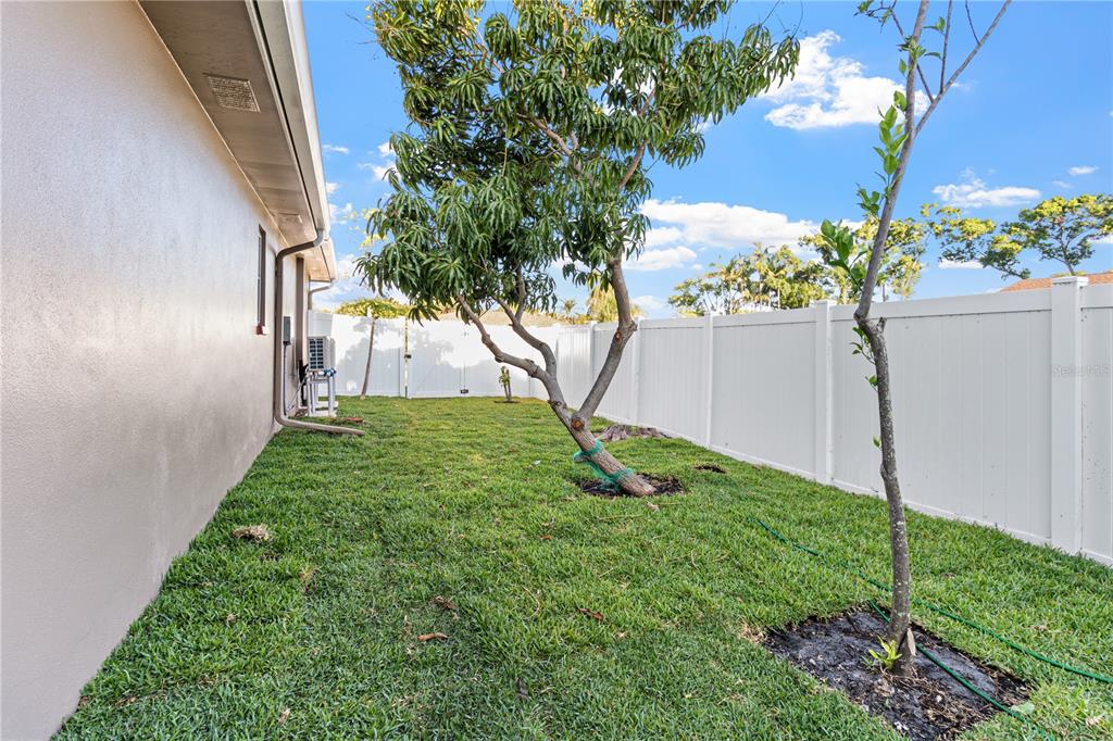1929 Valencia Way Clearwater, FL 33764 - Photo 52 of 56