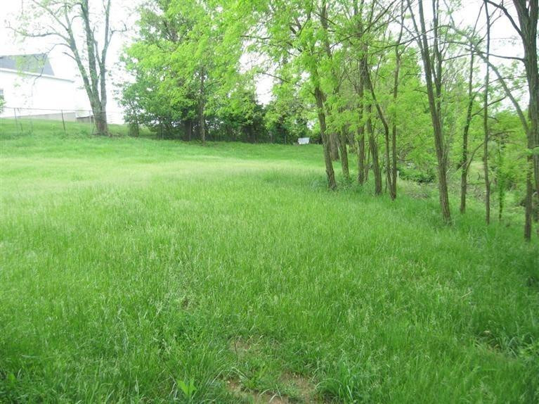1248 Porter Road Sadieville, KY 40370 - Photo 52 of 54 5 acres of beauty
