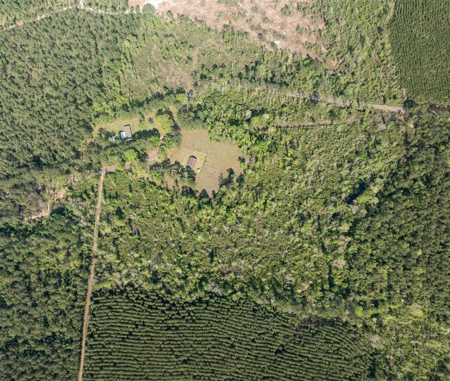 325 Joe Ray Road Glenmora, LA 71433 - Photo 23 of 37