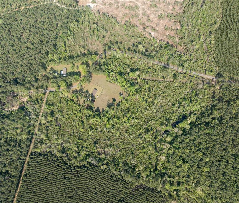 325 Joe Ray Road Glenmora, LA 71433 - Photo 25 of 37