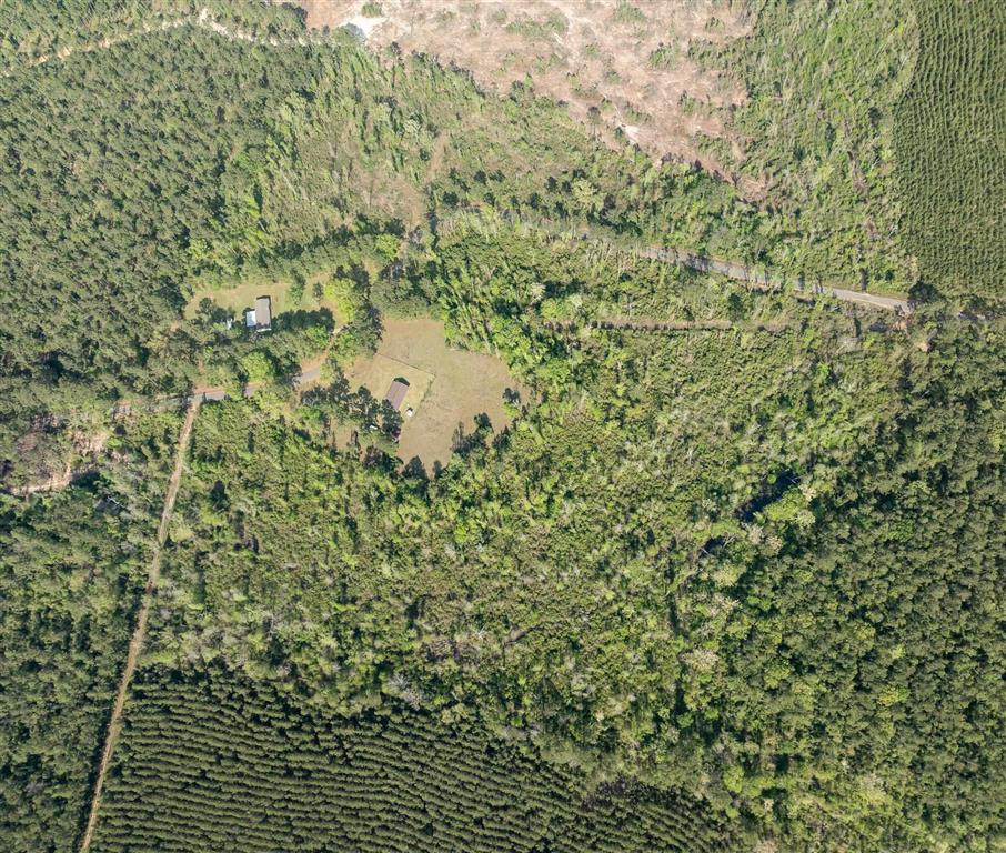 325 Joe Ray Road Glenmora, LA 71433 - Photo 26 of 37