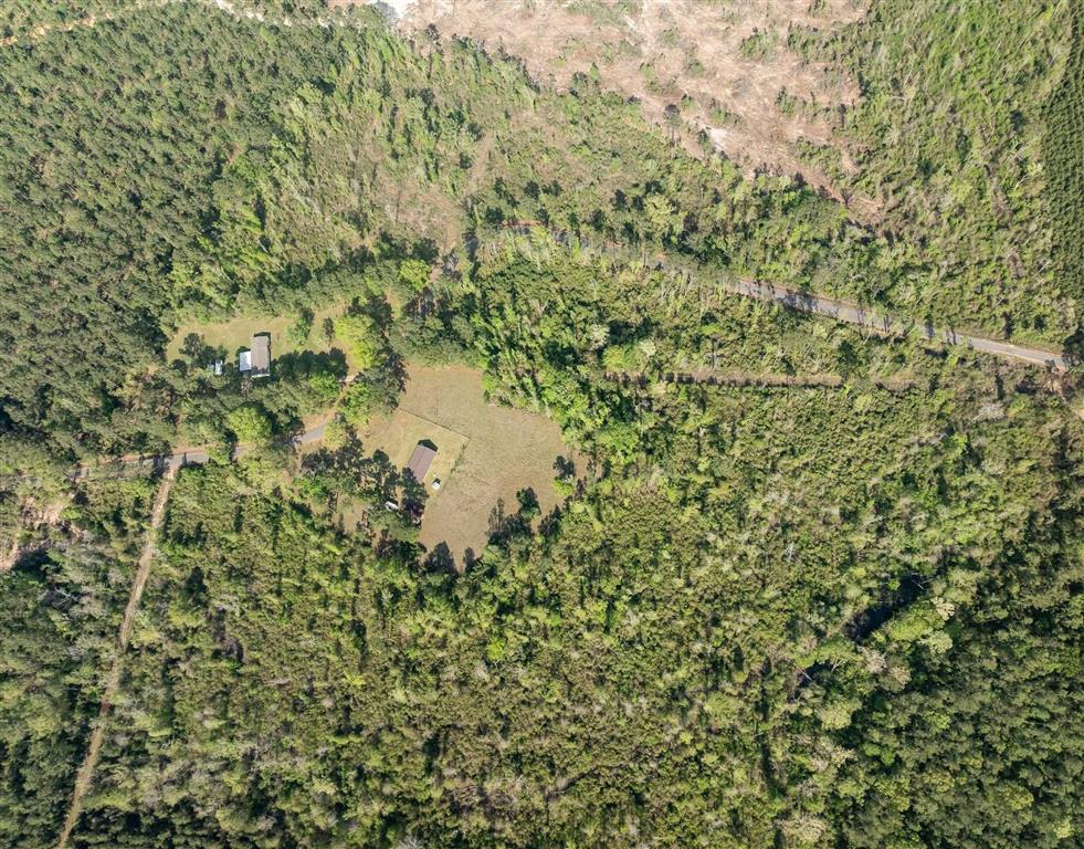 325 Joe Ray Road Glenmora, LA 71433 - Photo 27 of 37