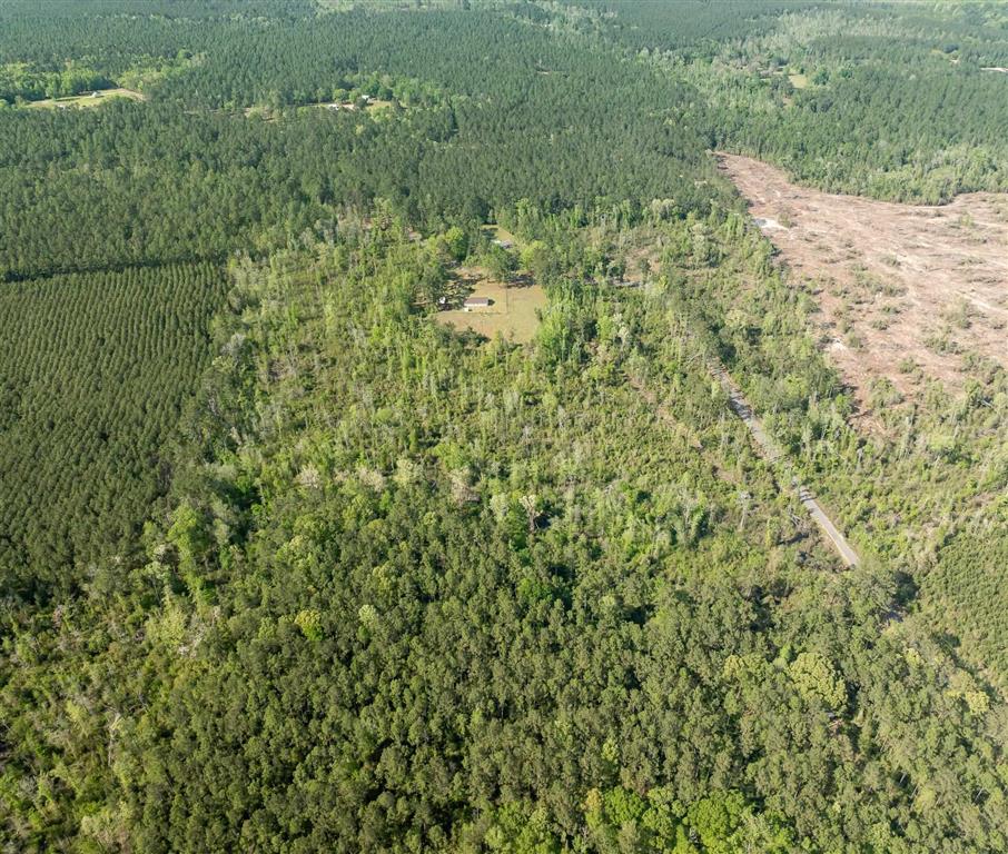325 Joe Ray Road Glenmora, LA 71433 - Photo 28 of 37