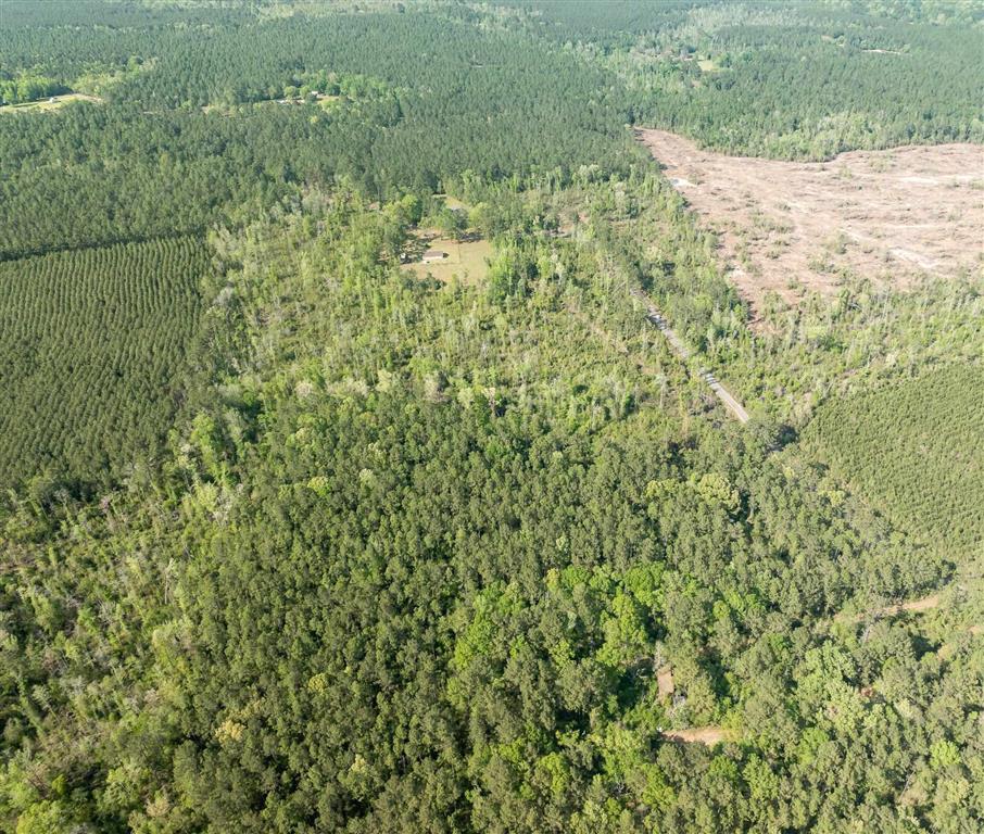 325 Joe Ray Road Glenmora, LA 71433 - Photo 29 of 37