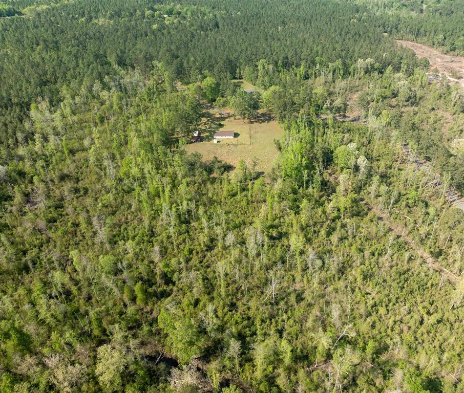 325 Joe Ray Road Glenmora, LA 71433 - Photo 30 of 37