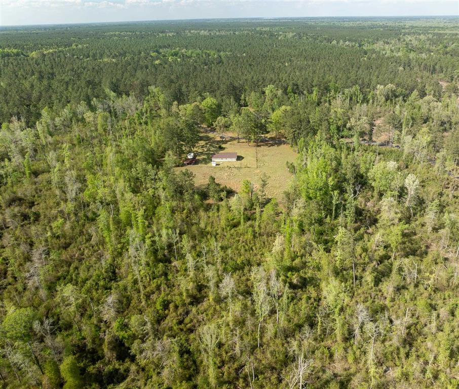 325 Joe Ray Road Glenmora, LA 71433 - Photo 31 of 37