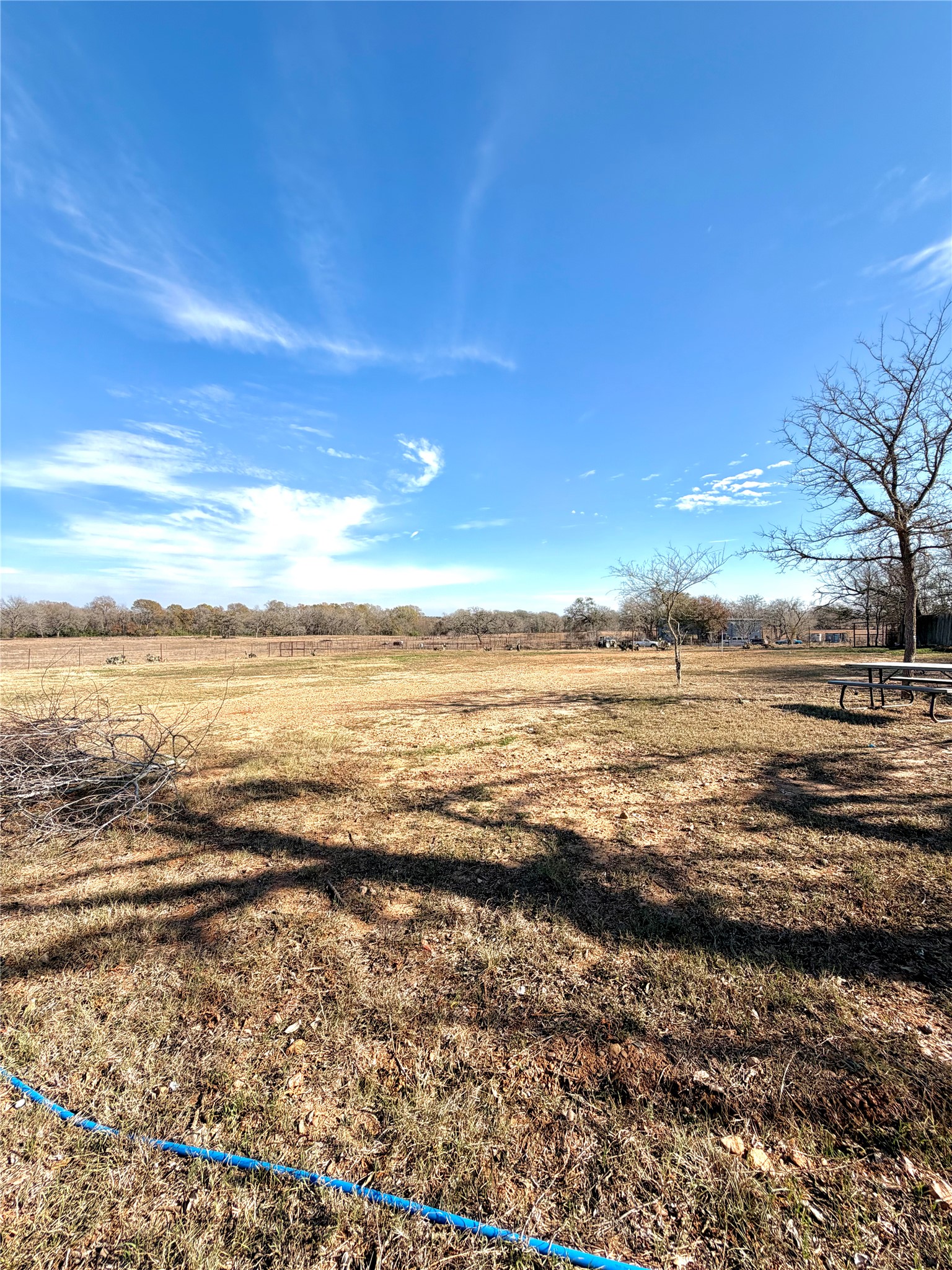 3248 Dale Lane Dale, TX 78616 - Photo 9 of 16 View of yard featuring a rural view
