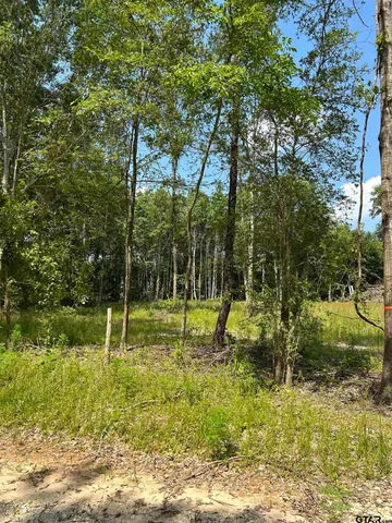 a view of a park with a tree