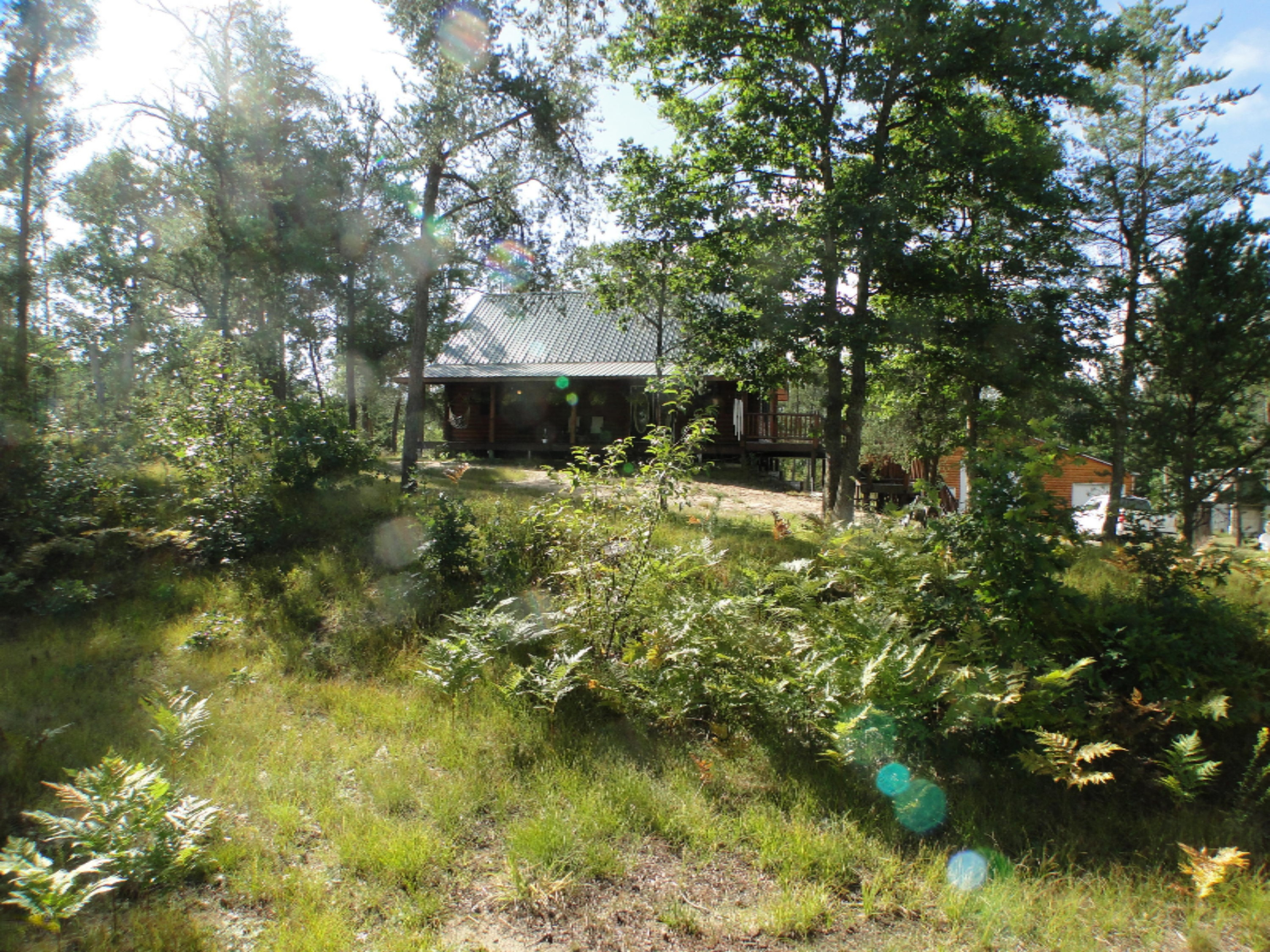 1525 3 Mile Road Luther, MI 49656 - Photo 41 of 56 DSC09037