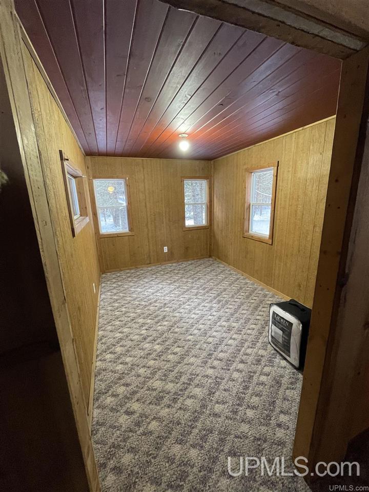 3805 West Maple Ridge 37 Road Rock, MI 49880 - Photo 6 of 33