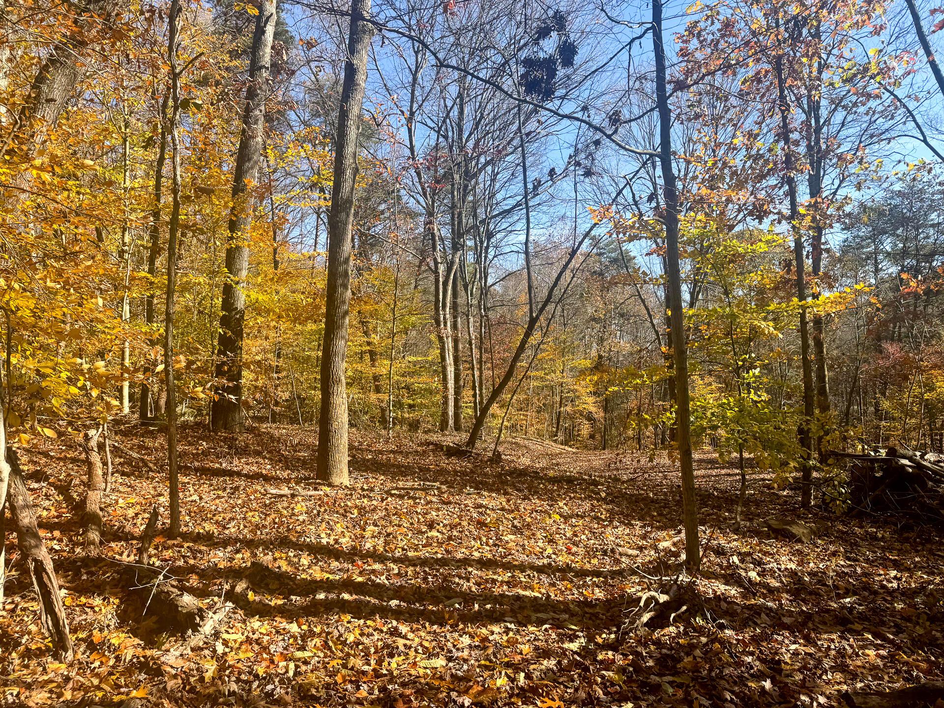 908 Nibert Road, Unit PONDS POPLAR RIDGE TRACT 2) Gallipolis, OH 45631 - Photo 7 of 25 CT-7