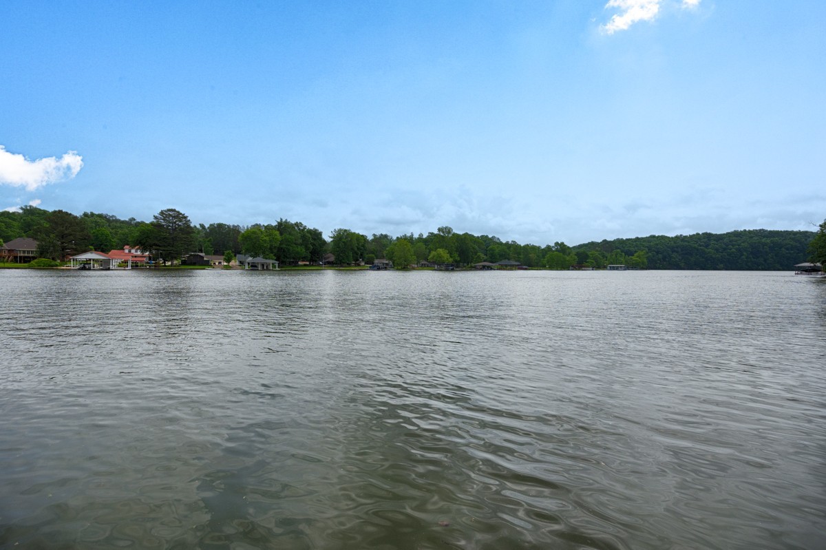 793 Davis Road Rogersville, AL 35652 - Photo 46 of 48