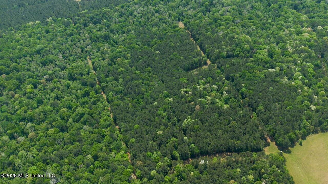 1979 Leman Road Oakdale, LA 71463 - Photo 44 of 44 DJI_0067 Large
