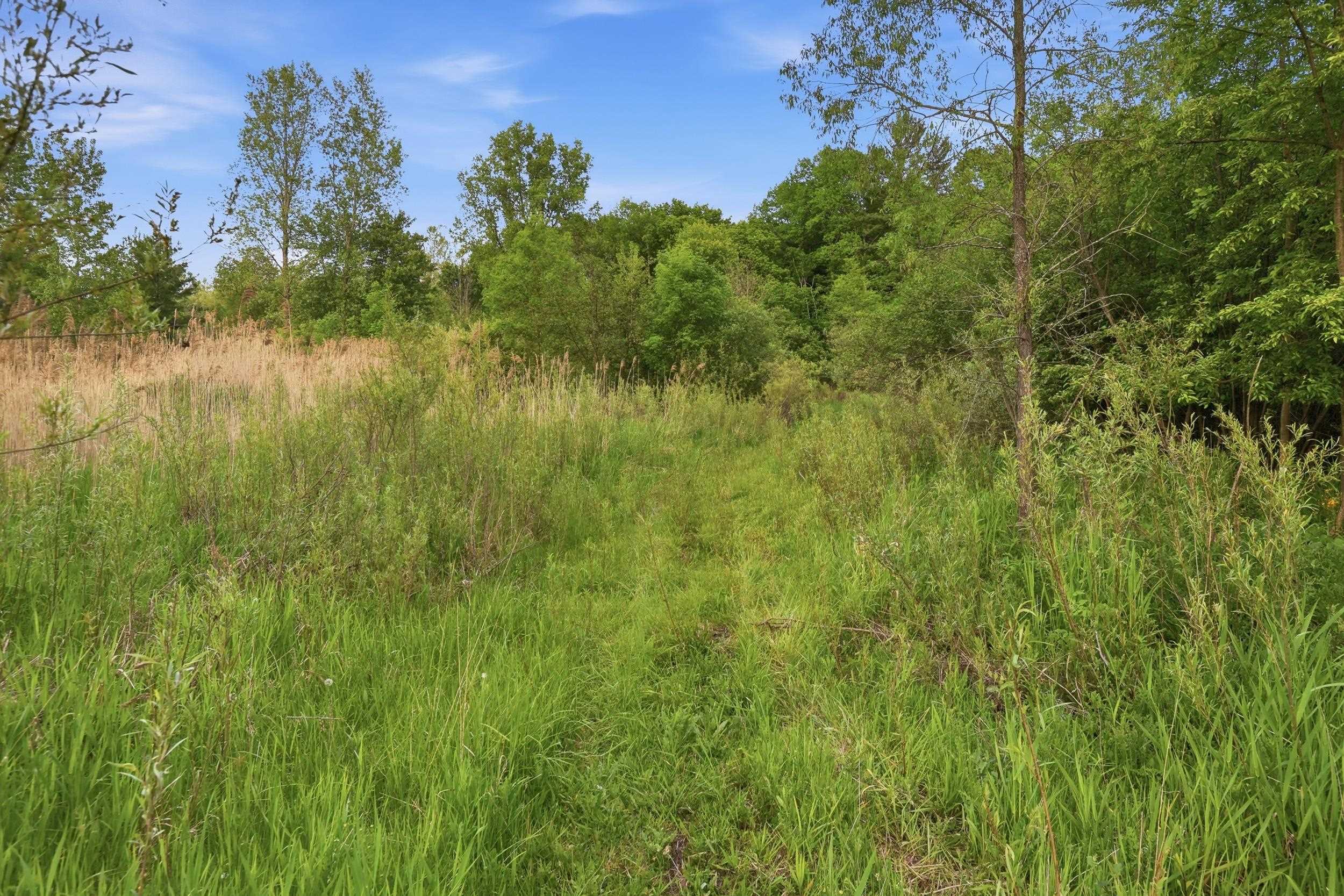 Vl South Chapin Road Elsie, MI 48831 - Photo 12 of 26