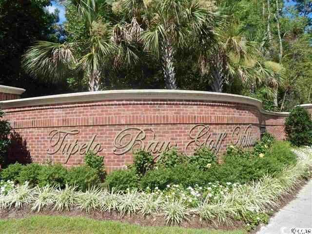 1029 Ray Costin Way, Unit VILLA 903 Murrells Inlet, SC 29576 - Photo 31 of 36