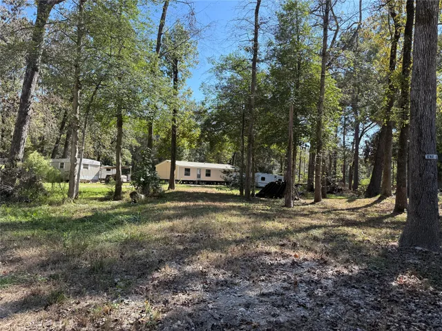 a view of a trees in a yard