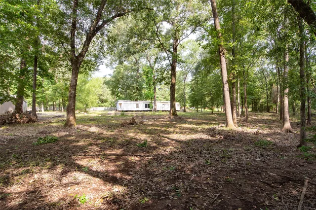 a view of a tree in the middle of a yard