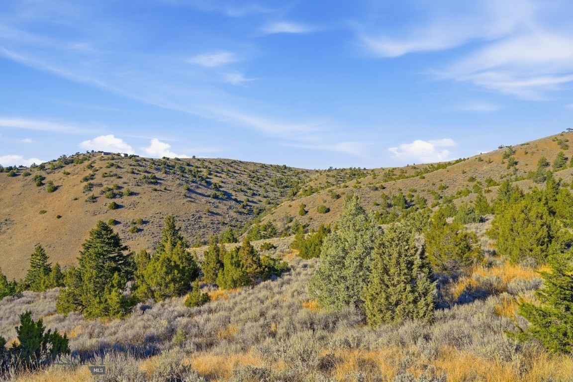 Three Broken Creek Road Three Forks, MT 59752 - Photo 11 of 25 Gallery Image 11