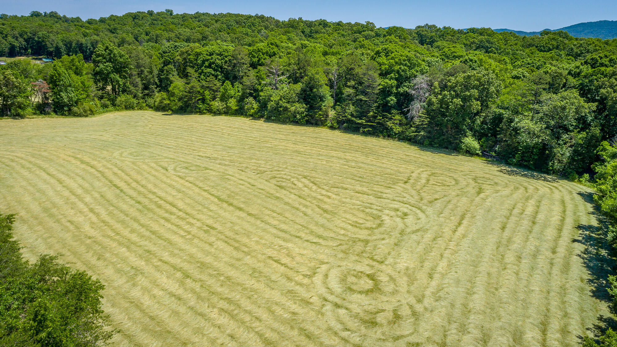 1655 West Cove Road Chickamauga, GA 30707 - Photo 46 of 62 1655 W Cove Road HD-5
