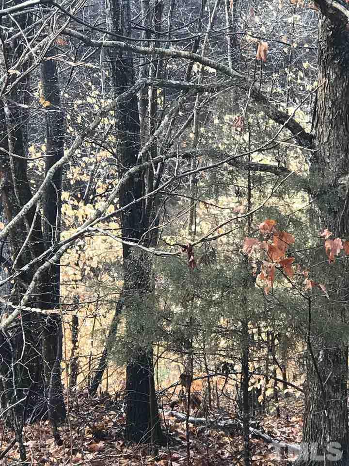 Lot 2 Fontaine Roxboro, NC 27574 - Photo 6 of 7
