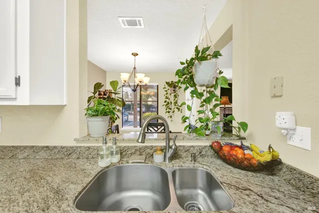 a kitchen with a sink and a potted plant