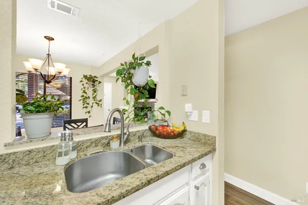 a kitchen with a sink and a potted plant