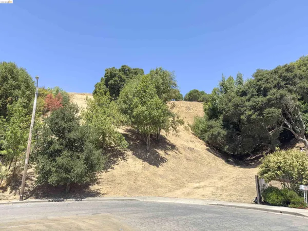 a view of a backyard of a house