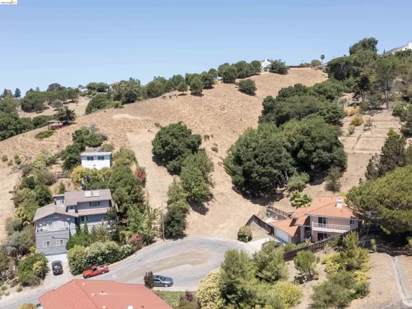 a view of a yard with flowers