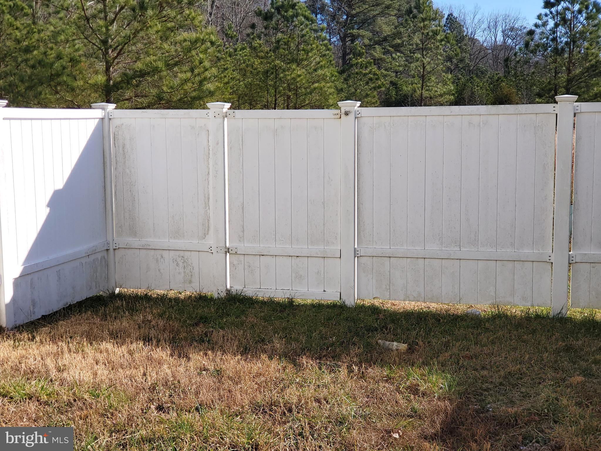 405 Ruddy Duck Court Cambridge, MD 21613 - Photo 23 of 24 Back Yard