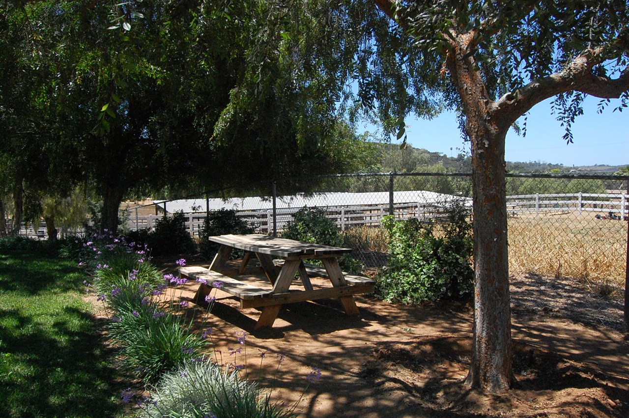 30715 Ranch Creek Road Valley Center, CA 92082 - Photo 20 of 25