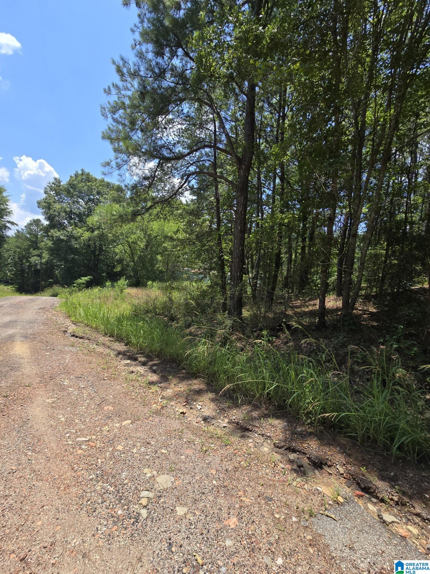 39 Thomas Road Cordova, AL 35550 - Photo 4 of 7