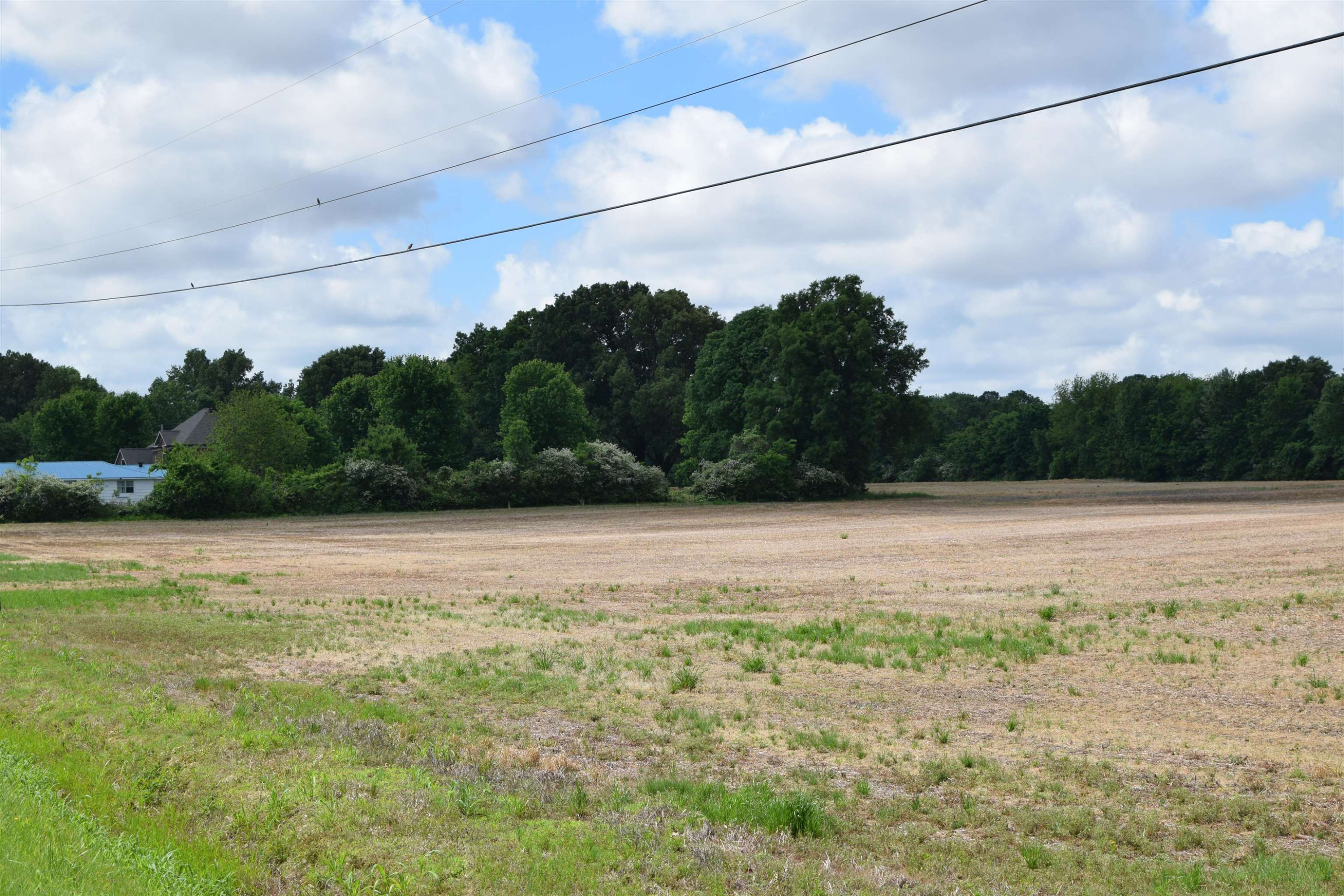 0 Nance Road Alamo, TN 38001 - Photo 3 of 6 Photo 3