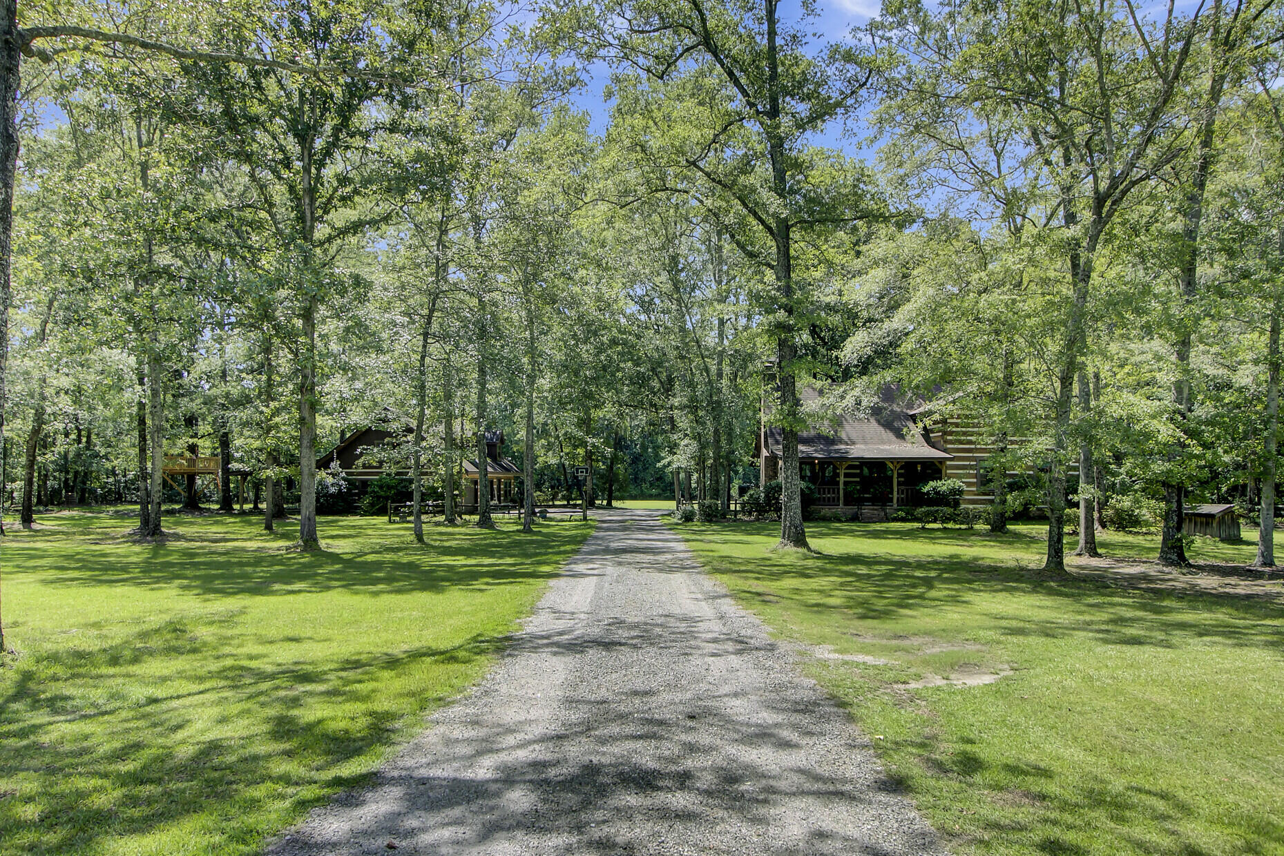 1126 Carter Road Ridgeville, SC 29472 - Photo 1 of 81 01_1_mls