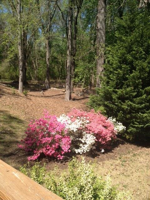 321 A Kimbrell Road Taylors, SC 29687 - Photo 13 of 13 Gallery Image 13