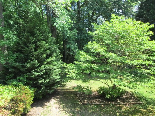 321 A Kimbrell Road Taylors, SC 29687 - Photo 9 of 13 Gallery Image 9