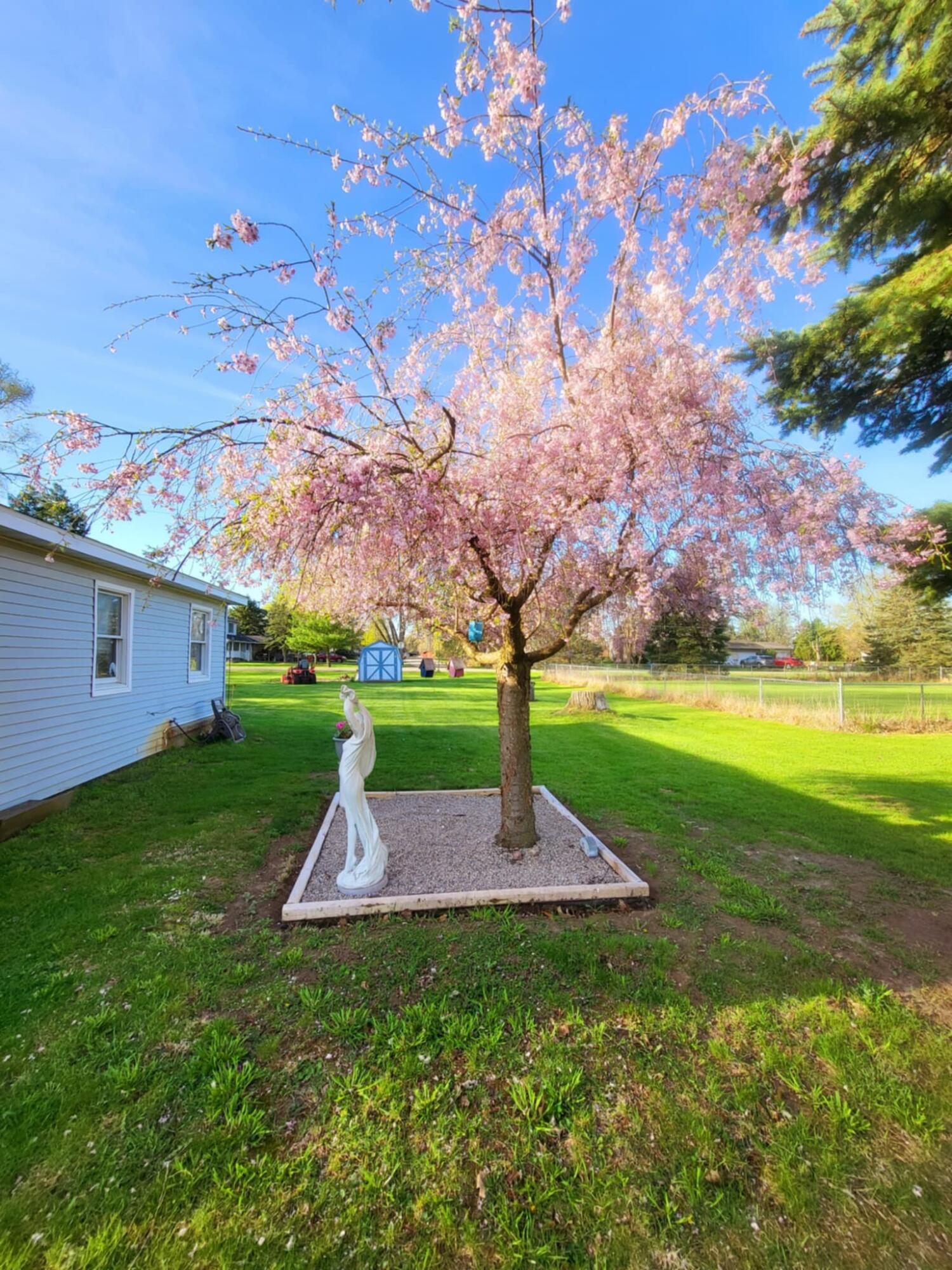 9967 Elm Road Ovid, MI 48866 - Photo 9 of 28 038f78a3-1d6a-4794-b03f-2f6319d84da6