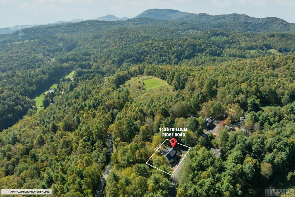 1136 Trillium Ridge Road Cullowhee, NC 28723 - Photo 56 of 69 Gallery Image 56
