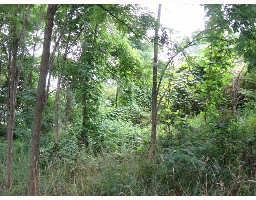 8870 Buffalo Road Harborcreek, PA 16421 - Photo 3 of 3 Land/Lot.