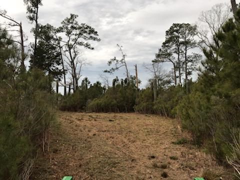 36170 Upshurs Nck Road, Unit 110 Melfa, VA 23410 - Photo 10 of 14